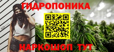 СК Пушкино