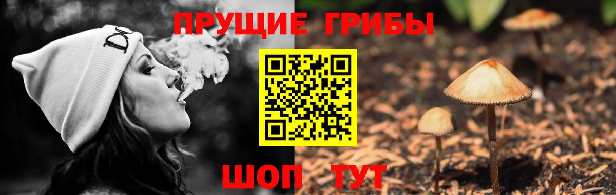 Симферополь  Галлюциногенные грибы MAGIC MUSHROOMS  Псилоцибиновые грибы GOLDEN TEACHER  Вход с VPN 